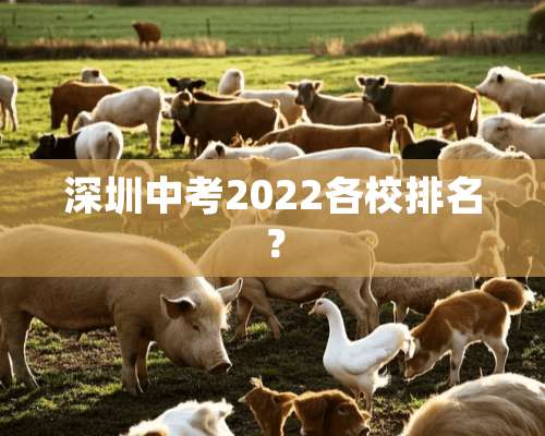 深圳中考2022各校排名？