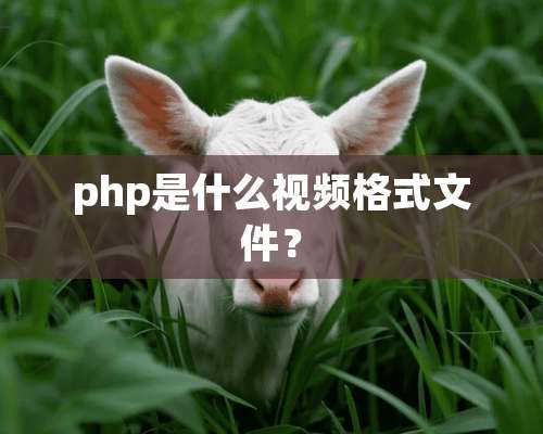 php是什么视频格式文件？