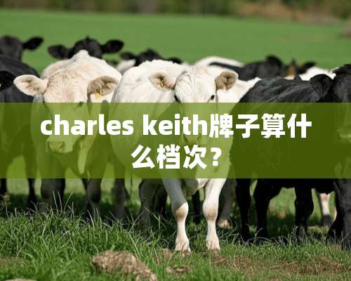 charles keith牌子算什么档次？