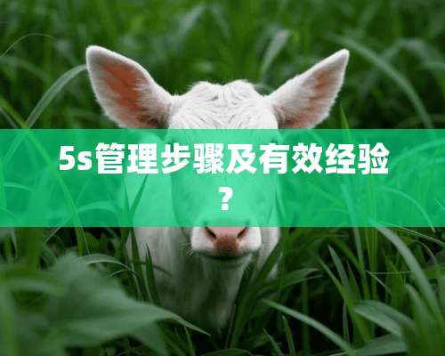 5s管理步骤及有效经验？