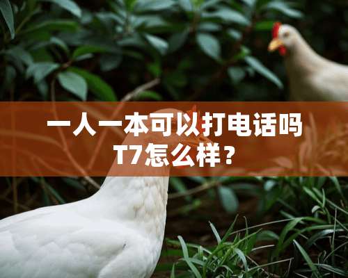 一人一本可以打电话吗T7怎么样？