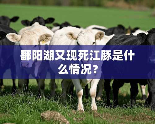 鄱阳湖又现死江豚是什么情况？