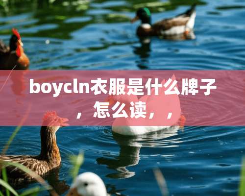 boycln衣服是什么牌子，怎么读，，