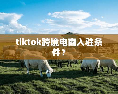 tiktok跨境电商入驻条件？