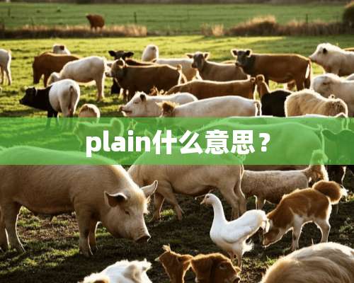 plain什么意思？