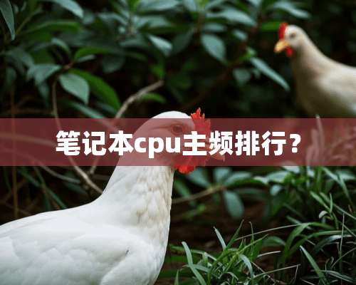 笔记本cpu主频排行？