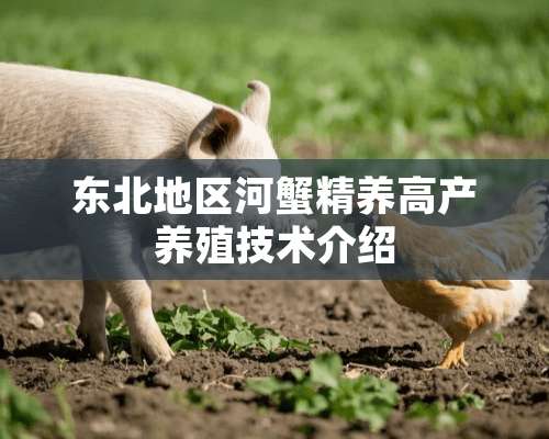 东北地区河蟹精养高产养殖技术介绍