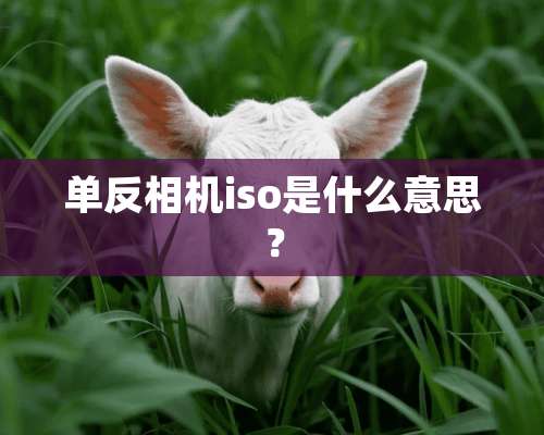 单反相机iso是什么意思？