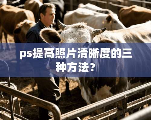 ps提高照片清晰度的三种方法？