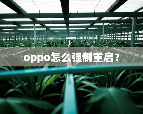 oppo怎么强制重启？