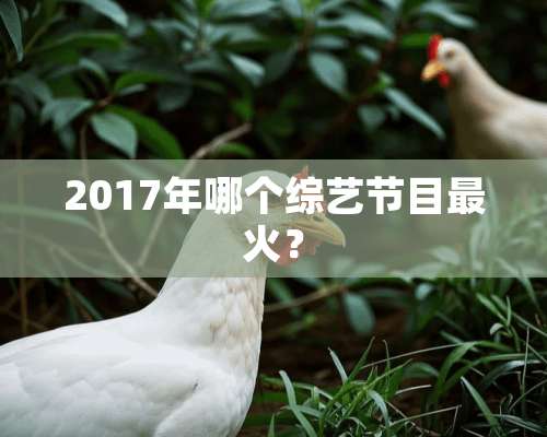 2017年哪个综艺节目最火？