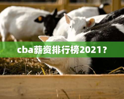 cba薪资排行榜2021？