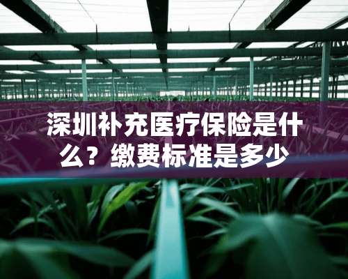 深圳补充医疗保险是什么？缴费标准是多少