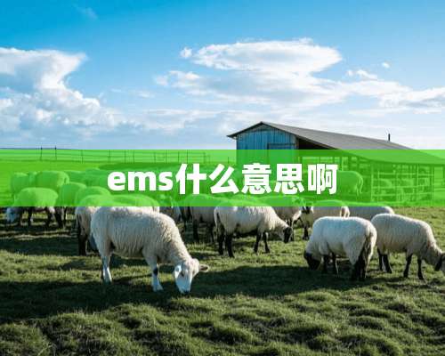 ems什么意思啊