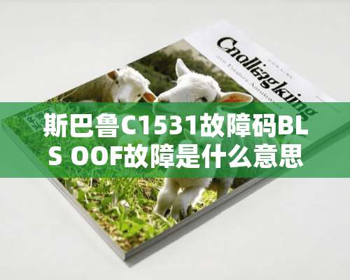 斯巴鲁C1531故障码BLS OOF故障是什么意思