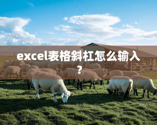 excel表格斜杠怎么输入？