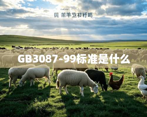 GB3087-99标准是什么