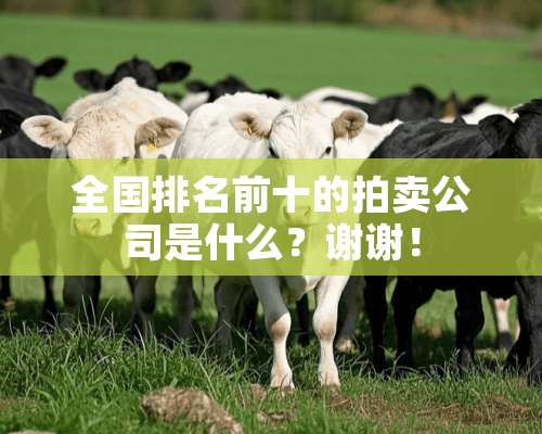 全国排名前十的拍卖公司是什么？谢谢！