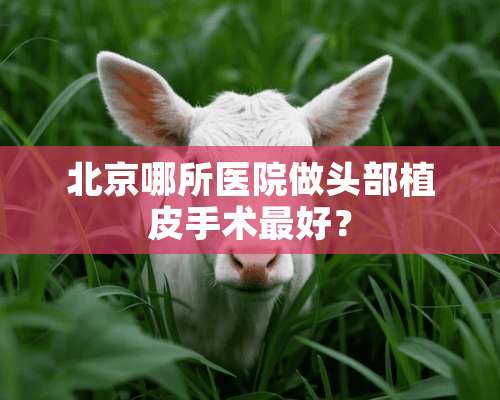 北京哪所医院做头部植皮手术最好？