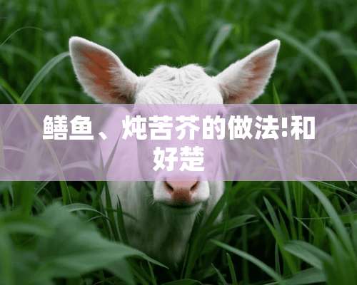 鳝鱼、炖苦芥的做法!和好楚