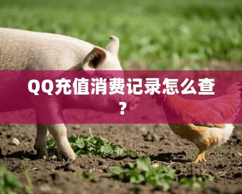 QQ充值消费记录怎么查？