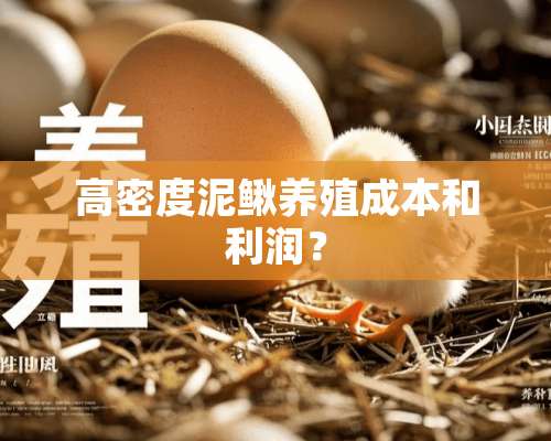 高密度泥鳅养殖成本和利润？