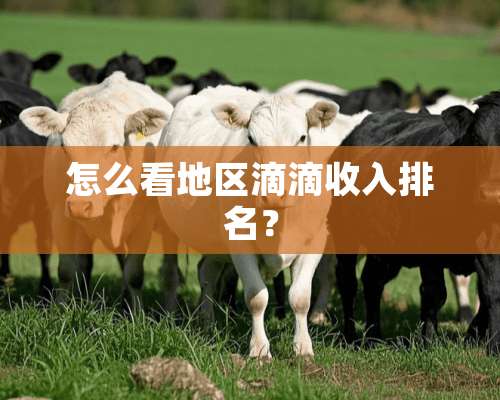 怎么看地区滴滴收入排名？