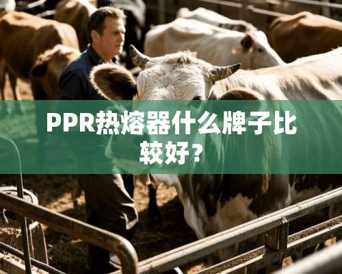 PPR热熔器什么牌子比较好？