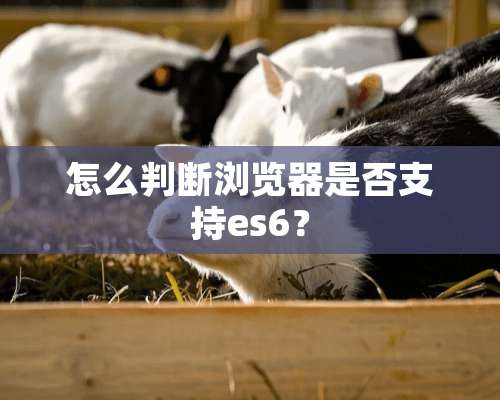 怎么判断浏览器是否支持es6？