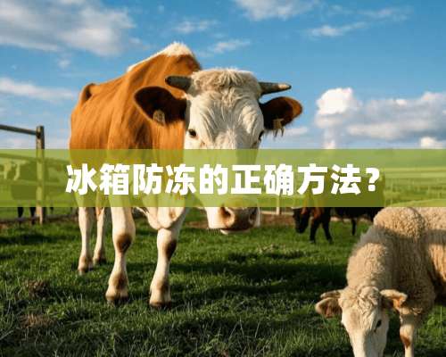 冰箱防冻的正确方法？