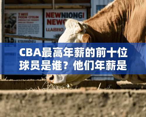 CBA最高年薪的前十位球员是谁？他们年薪是多少？