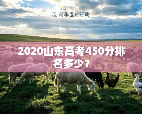 2020山东高考450分排名多少？