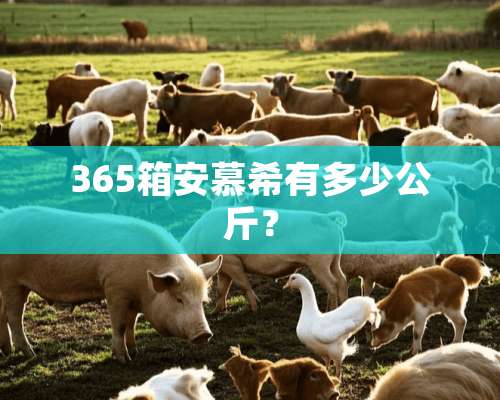 365箱安慕希有多少公斤？