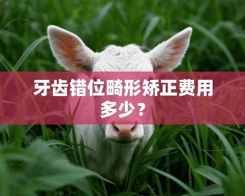 牙齿错位畸形矫正费用多少？