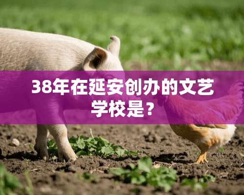 38年在延安创办的文艺学校是？