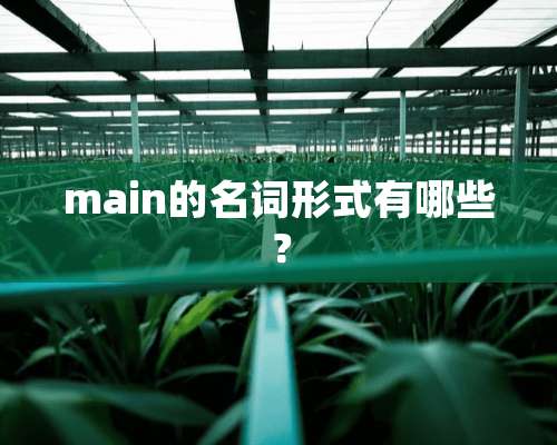 main的名词形式有哪些？