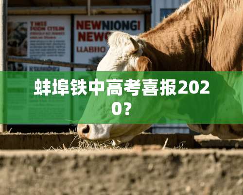 蚌埠铁中高考喜报2020？