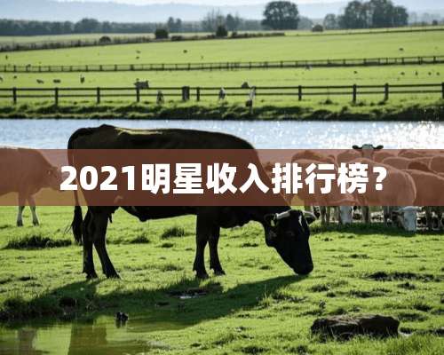 2021明星收入排行榜？