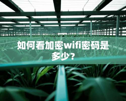 如何看加密wifi密码是多少？