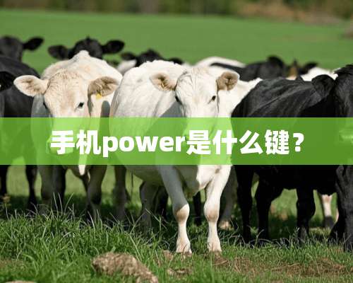 手机power是什么键？