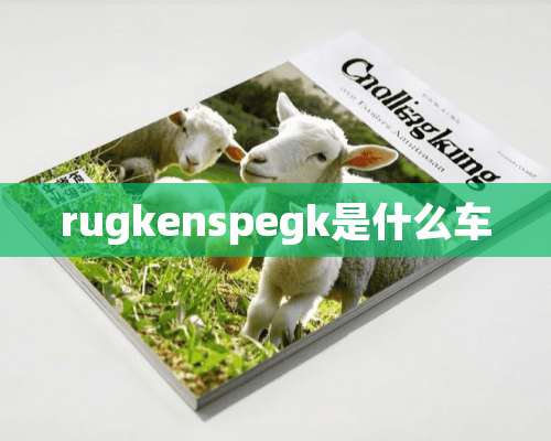 rugkenspegk是什么车