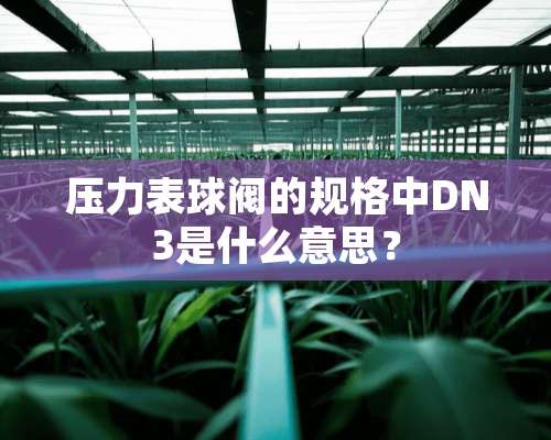 压力表球阀的规格中DN3是什么意思？