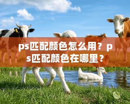 ps匹配颜色怎么用？ps匹配颜色在哪里？