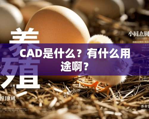 CAD是什么？有什么用途啊？