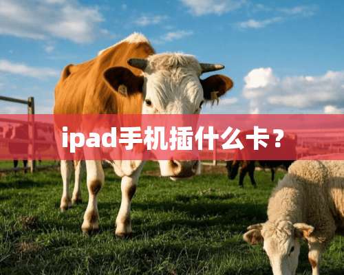 ipad手机插什么卡？