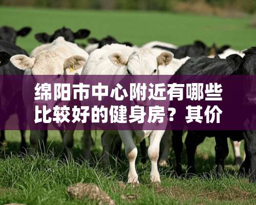 绵阳市中心附近有哪些比较好的健身房？其价格怎样？