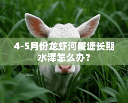 4-5月份龙虾河蟹塘长期水浑怎么办？