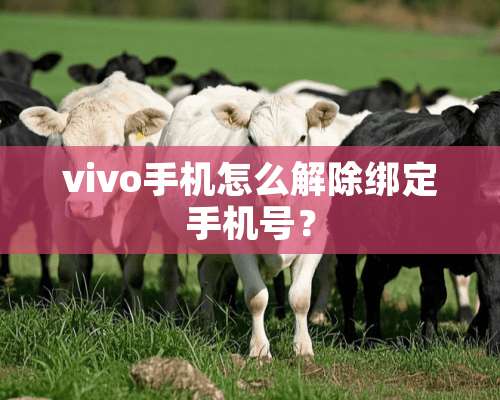 vivo手机怎么解除绑定手机号？