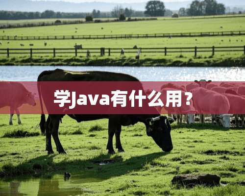 学Java有什么用？