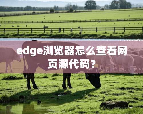 edge浏览器怎么查看网页源代码？